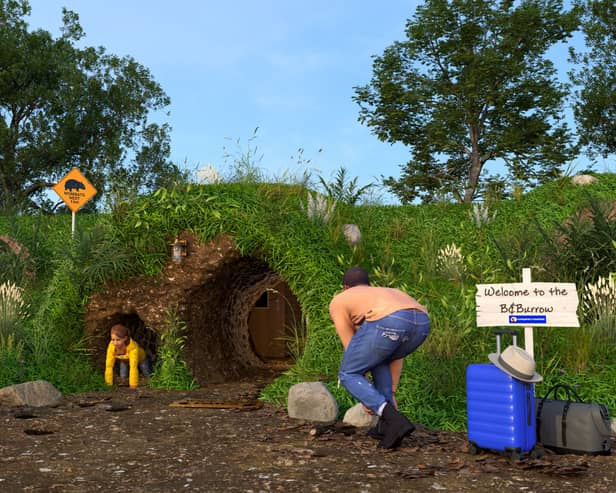 Stay in quirky BnB made out of a wombat’s burrow for free - how to enter competition 