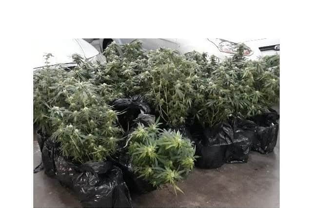 Inside they found the cellar had flooded, making the bypassed electricity supply to a cannabis grow upstairs dangerous. Officers seized one remaining cannabis plant and growing equipment from the attic.