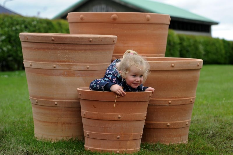 Two-year-old Lily Cook hides in one of the giant terracotta pots on sale at the show.