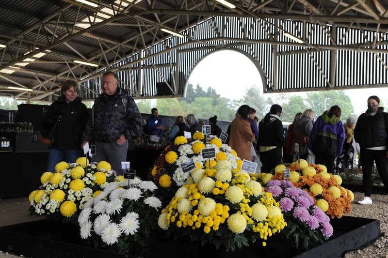 Flower displays on show in the sheep sheds at the show ground.