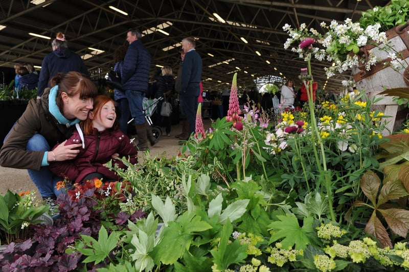 Jenny Marshall and her six-year-old daughter Poppy take a look at one of the flower displays at the show.