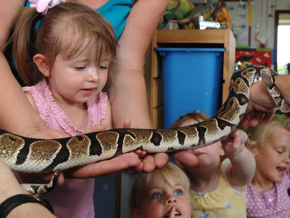 Kids meet Mr Tickle the python.