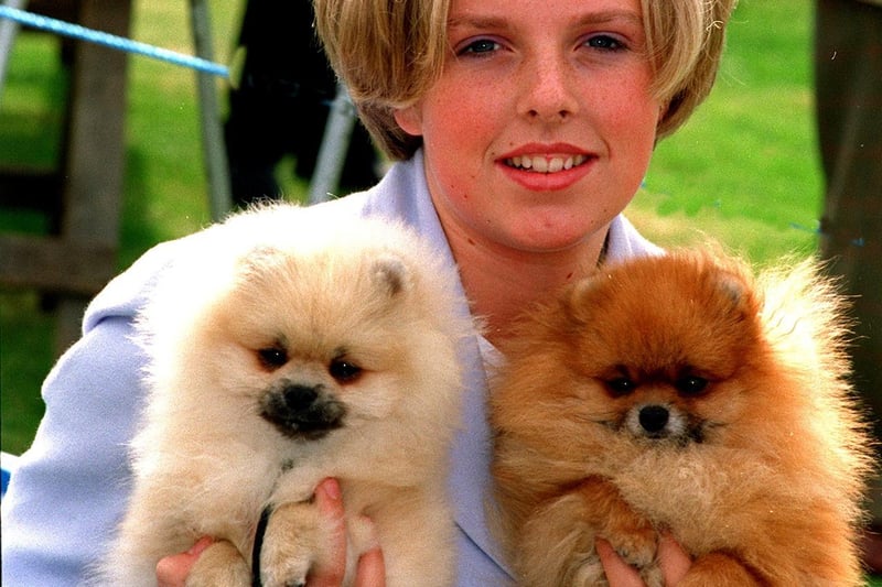 Samantha Lee with her Pomeranians Spice Girl (left) and Glamour Puss in July 1997.