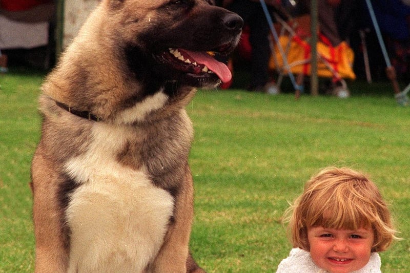 Young Charley Williams with Tye, a Japanese Akita in July 1997.