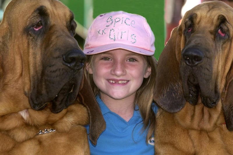 ikola Sayles with Bloodhounds, from left, Judge, and Abbey in July 2001.