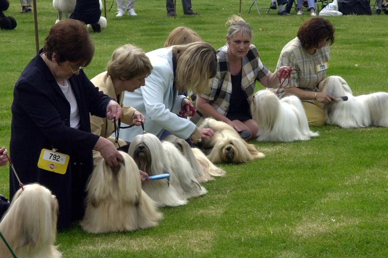 Share your memories of Leeds Championship Dog Show through the years with Andrew Hutchinson via email at: andrew.hutchinson@jpress.co.uk or tweet him - @AndyHutchYPN