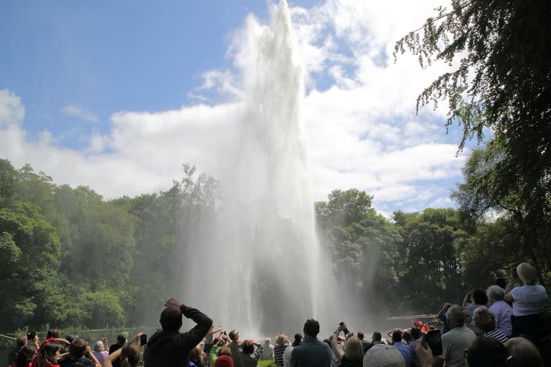 Once a year crowds gather at the iconic Castle Carr Fountain to see it rise into the air. A spectacular sight to see.