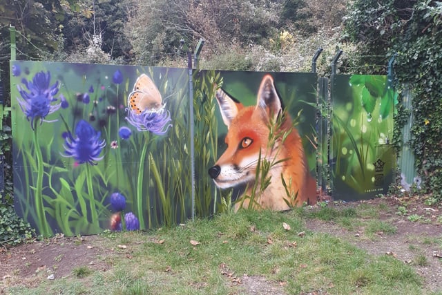 "Unbelievably beautiful artwork on an otherwise scruffy gate - South East Water site behind Bedes School," said Alison Cushing who came across this mural on the path down to the cliffs and beach at Holywell. SUS-211018-154109001