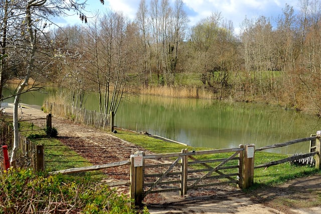 Southwater Country Park, Horsham, offers something for all the family with its Dinosaur Island, watersports centre, cafe, nature walks and The Quarry natural convservation area, home to birds, butterflies and lizards.