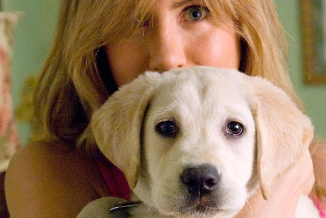 Co-starring Jennifer Aniston and Owen Wilson, Marley & Me tells the story of a newly married couple who learn many of life's important lessons from their trouble-loving yellow Lab, Marley.