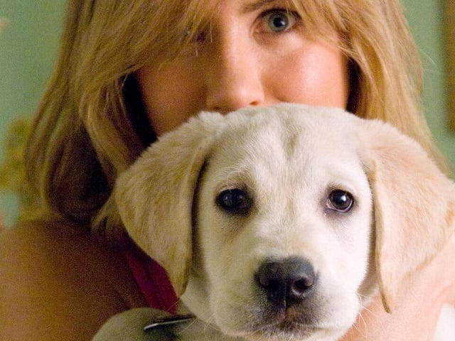 Co-starring Jennifer Aniston and Owen Wilson, Marley & Me tells the story of a newly married couple who learn many of life's important lessons from their trouble-loving yellow Lab, Marley.