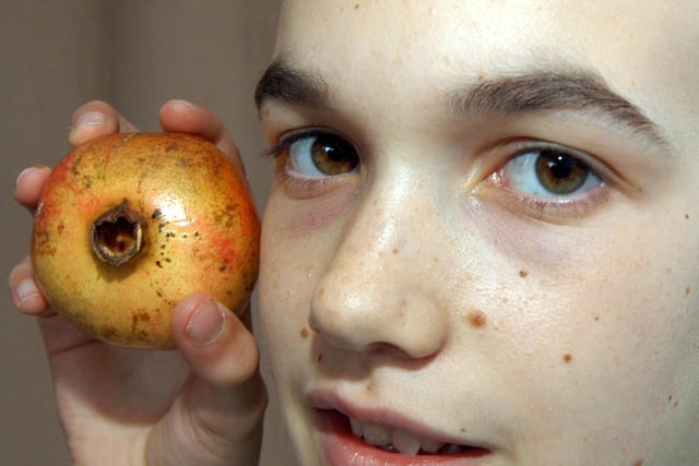 According to the archives back in 2007, Connor Henson from Edwinstowe discovered a spider in a piece of fruit. Anyone remember this?