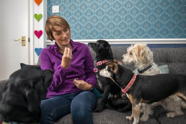Sarah Knowles is set to launch the WooF Hub Ltd, offering doggy day care and training, Sarah is pictured with her dogs Arlo, three, Zoom, seven, Scampi, three and Willow 14