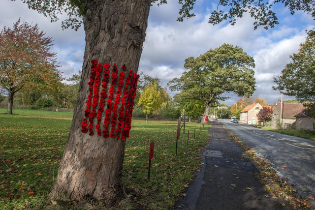 Poppies are placed on trees and buildings throughout the village.