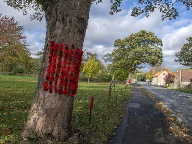 Poppies are placed on trees and buildings throughout the village.