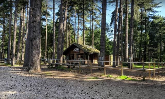 Swing from the treetops and visit Go Ape in Sherwood Pines this weekend and make some unforgettable memories.