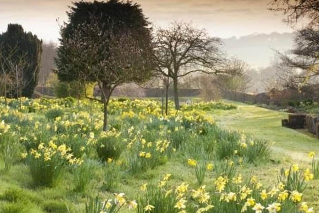 Though the house itself is a feature of interest, the main attraction is the gardens. In the spring the woods are full of bluebells; there are masses of daffodils and snowdrops; and at any time of year, there will always be a display of some exotic or indigenous blooms.
