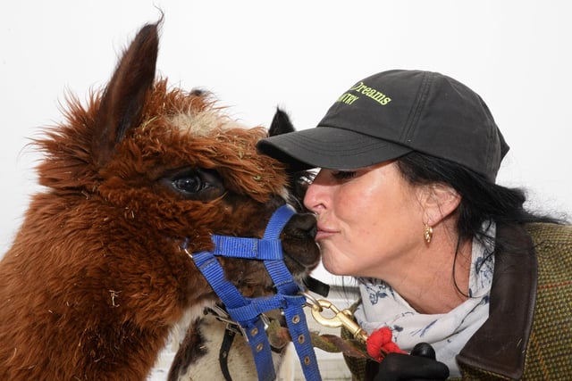 Owner Bev, pictured getting a kiss from one of the Alpacas. Picture: NDFP-02-02-21-EquineDreams 11-NMSY
