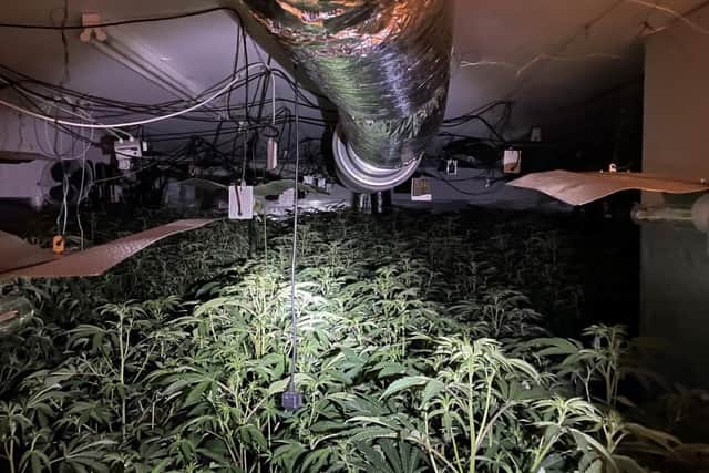A property in Gateford Road was discovered with three rooms of cannabis grows and the electricity bypassed.