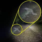 Hannah and Dave Rowett captured an image of a 'demon ghost' crawling across the infamous haunted Clumber Park. Photo: Kennedy News & Media