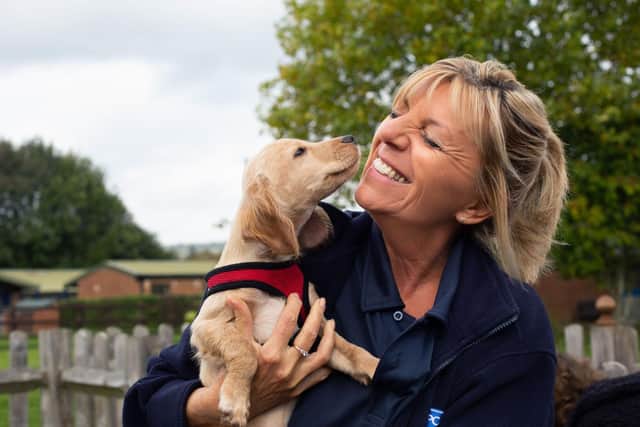 Nottinghamshire is one of the top 10 places in the UK for volunteers for the RSPCA. Photo: RSPCA