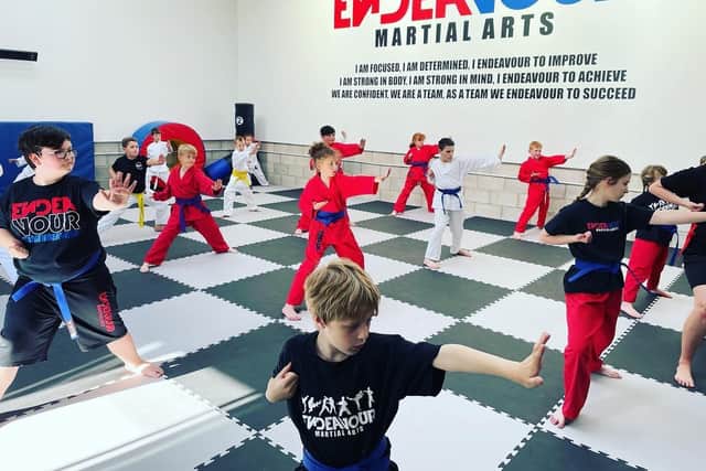 Endeavour Martial Arts has been praised by parents.