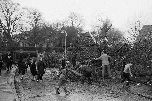 Workers cut up a 50ft tree which blocked Craiglockhart Road after gales in April 1960.