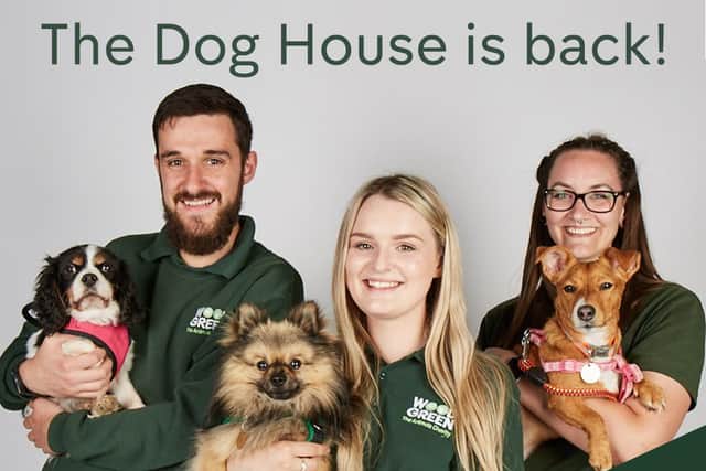 The Dog House are looking for dog rescuers