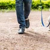 Bassetlaw District Council is asking residents if they would like to keep the existing Bassetlaw wide Public Spaces Protection Order that relates to dog fouling and specifies areas where dogs should be kept on leads.