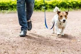 Bassetlaw District Council is asking residents if they would like to keep the existing Bassetlaw wide Public Spaces Protection Order that relates to dog fouling and specifies areas where dogs should be kept on leads.