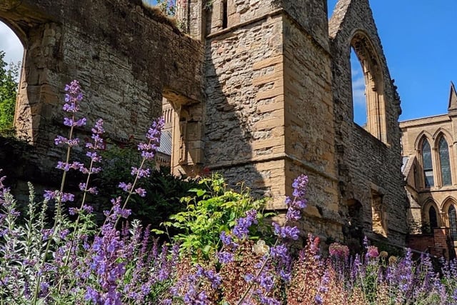 Here's your chance to explore the beautiful Palace Gardens at Southwell Minster on Sunday (11 am to 4 pm). Set among the magnificent ruins of The Archbishop's Palace, the gardens are full of shrubs, flowering plants, mature trees, lawns, medieval herbs and sculptures, with grasslands, wild flowers and orchids at Potwell Dyke a short walk away. The open day is part of the National Garden Scheme to raise money for nursing and health charities.