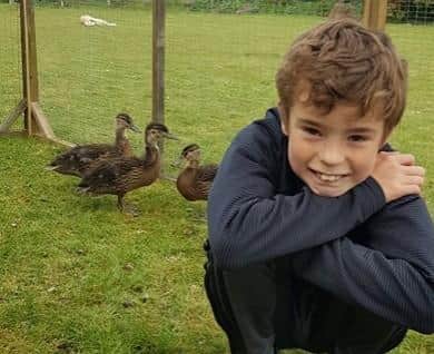 Claire Edmunds' son Liam, 10, with the ducks