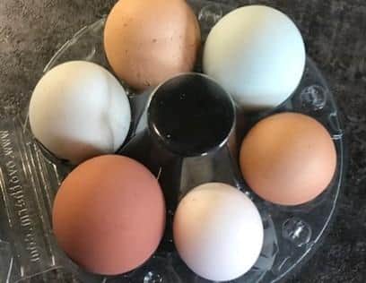 Lucy's rainbow eggs