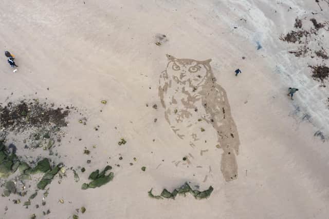 Sand artist Claire Eason creating a giant owl on Beadnell Beach, Northumberland.