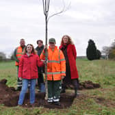 2,000 trees planted at Kilton Forest