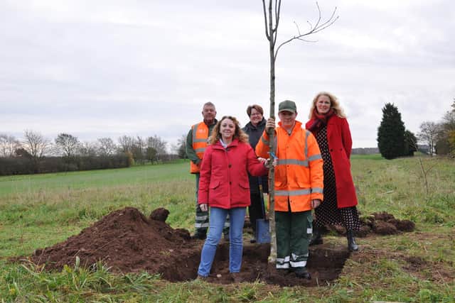 2,000 trees planted at Kilton Forest