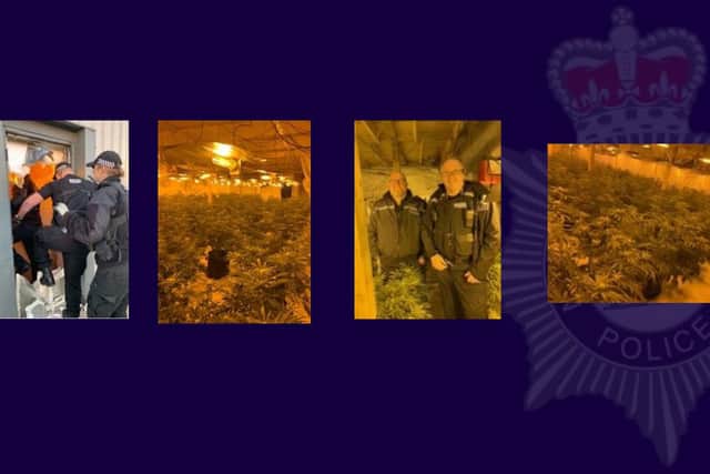 Over 300 cannabis plants have been seized from two locations in Harworth thanks to Bassetlaw Reacher team.