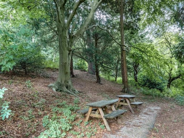 The Victorian manor sits in the heart of Derbyshire woodland, which gives the owners the opportunity for some lovely, peaceful walks.