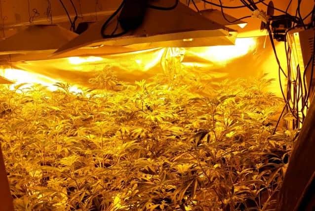Cannabis worth £300,000 found at Worksop.