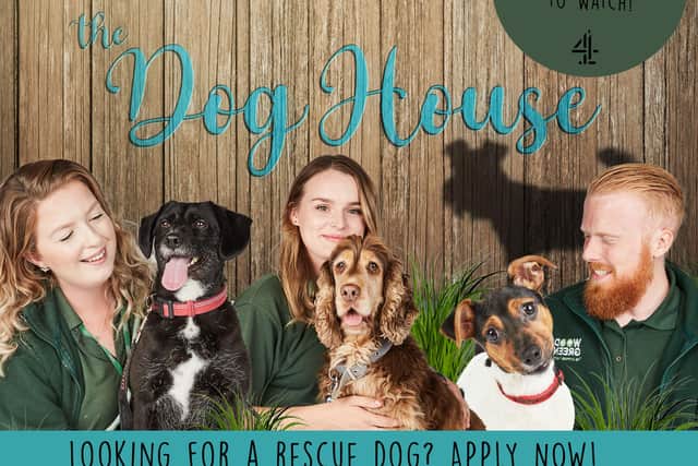 Channel 4 show The Dog House is looking for people from Bassetlaw to take part in the next series
