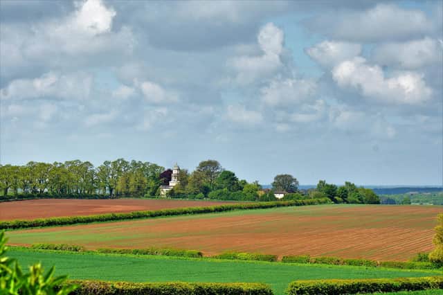 A stunning view that can be seen on the Tuxford circular walk.