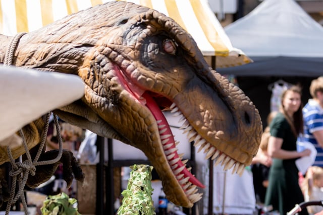 Fun for all the family at dino day