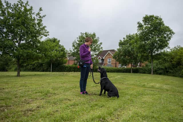 Sarah Knowles is pictured training her dog Arlo, three.