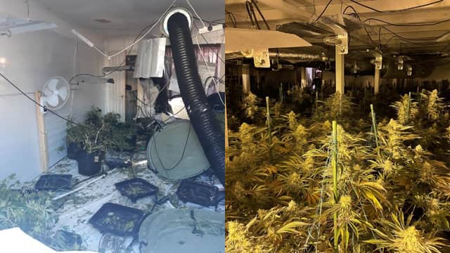 Two cannabis grows have been uncovered in Worksop by Bassetlaw neighbourhood police officers.