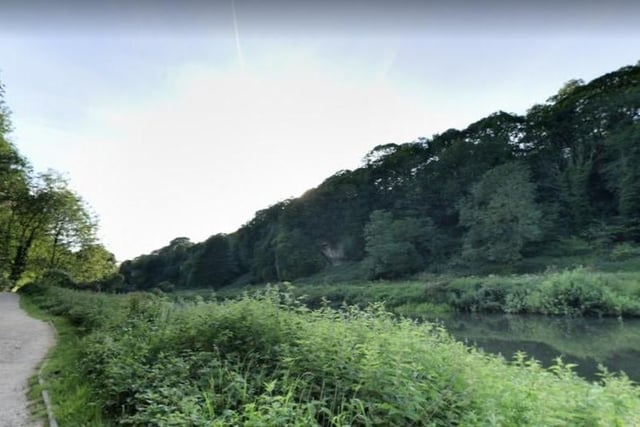If you need a breath of fresh air, why not explore the 1.6 kilometre loop trail at Creswell Crags? Or walk in the footsteps of early humans and woolly mammoths through the dramatic gorge, take in the Ice Age rock art and enjoy exploring the woodland, meadow, and reflective lake.