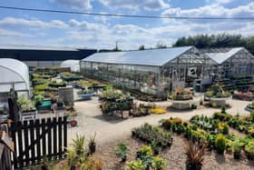 Dale Plant Nursery was recommended several times by readers. The garden centre is located on Worksop Road, Whitwell Common, Worksop.