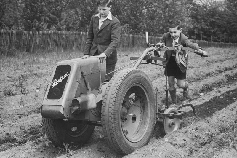Evacuee schoolboys from London at work using a motorised Rowtrac harrowing machine on the grounds of the Ashley House School for the Dig for Victory campaign on 11th August 1941 in Worksop.