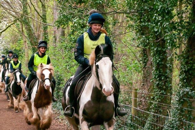 Pony trekking at Creswell Crags near Worksop is a highly recommended activity on TripAdvisor. The sessions are run by Coloured Cob Equestrian Centre - providing quality horse riding tuition as well as  off road hacking and trekking opportunities. For more information, see colouredcob.co.uk
