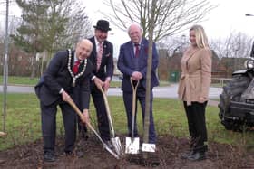 Bolsover District Council officials have planted three trees received as a gift from The Queen’s Green Canopy in memory of her late Majesty, Queen Elizabeth II.
