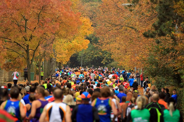 A mass of runners enjoy some leafy surroundings.